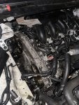 IMG_2172.jpeg