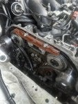 IMG_2354.jpeg